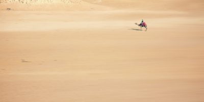 sand, camel, desert
