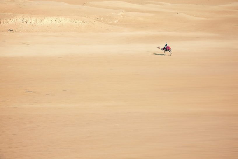 sand, camel, desert
